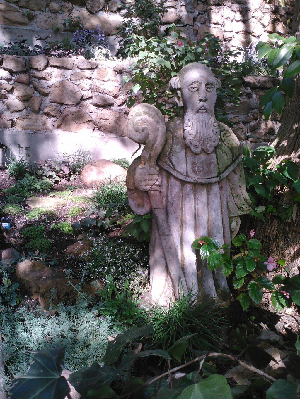 Shade and sem-shade tolerant plants uplift and enh