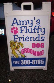 Amy's Fluffy Friends