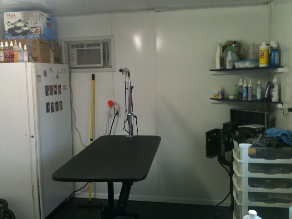 My grooming table can accommodate even your bigges