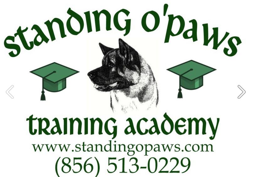 Standing O'Paws Training Academy