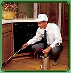 Exterminators in Phoenix