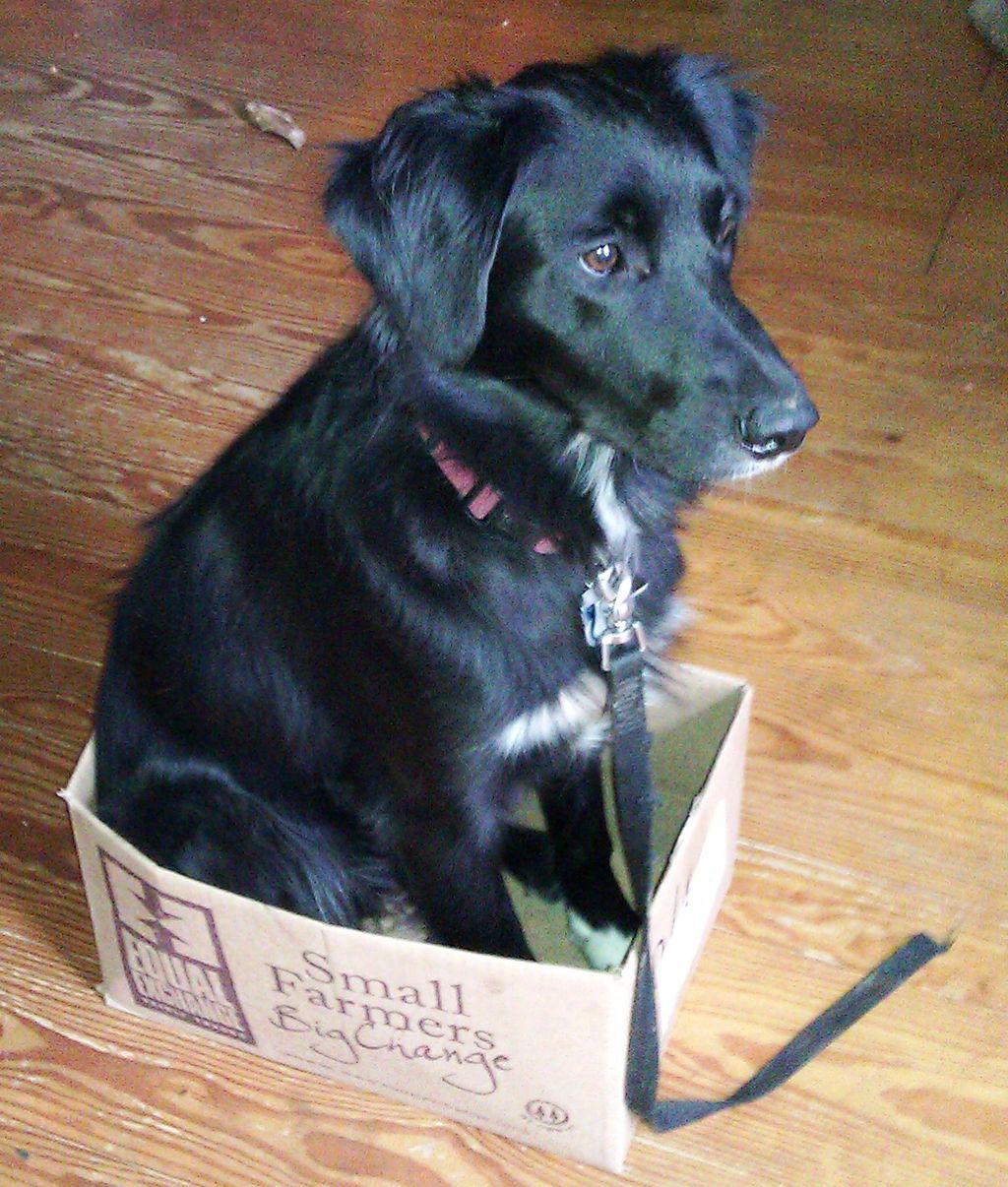 Let's get this box on the road!