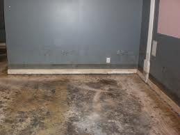 Carpet Removal