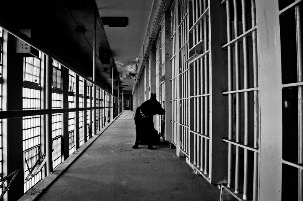 Corrections K-9 Department