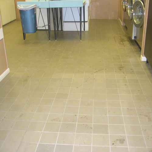 Quarry Tile & Grout Floor - BEFORE- Cleaning and S