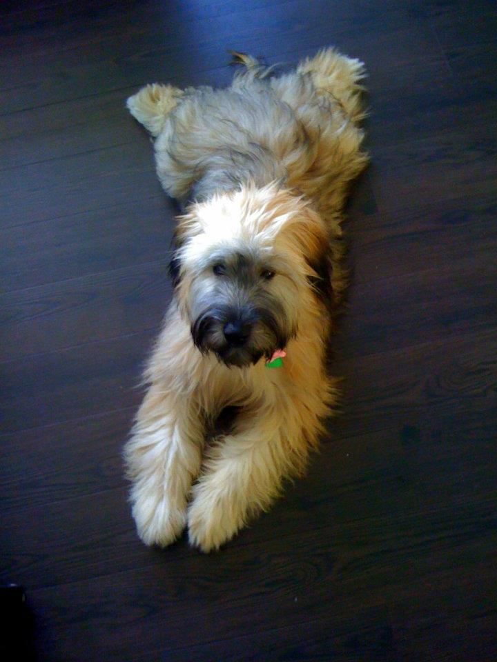 Bella!