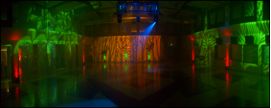 Jungle themed party we designed, did the lighting 
