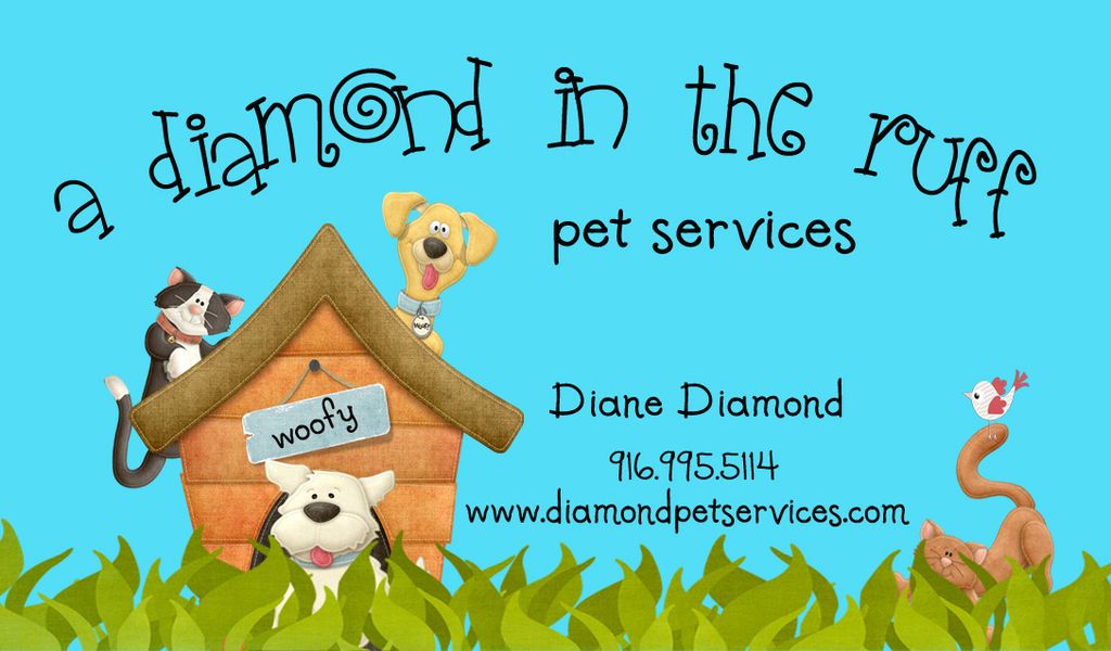 A Diamond In The Ruff Pet Services