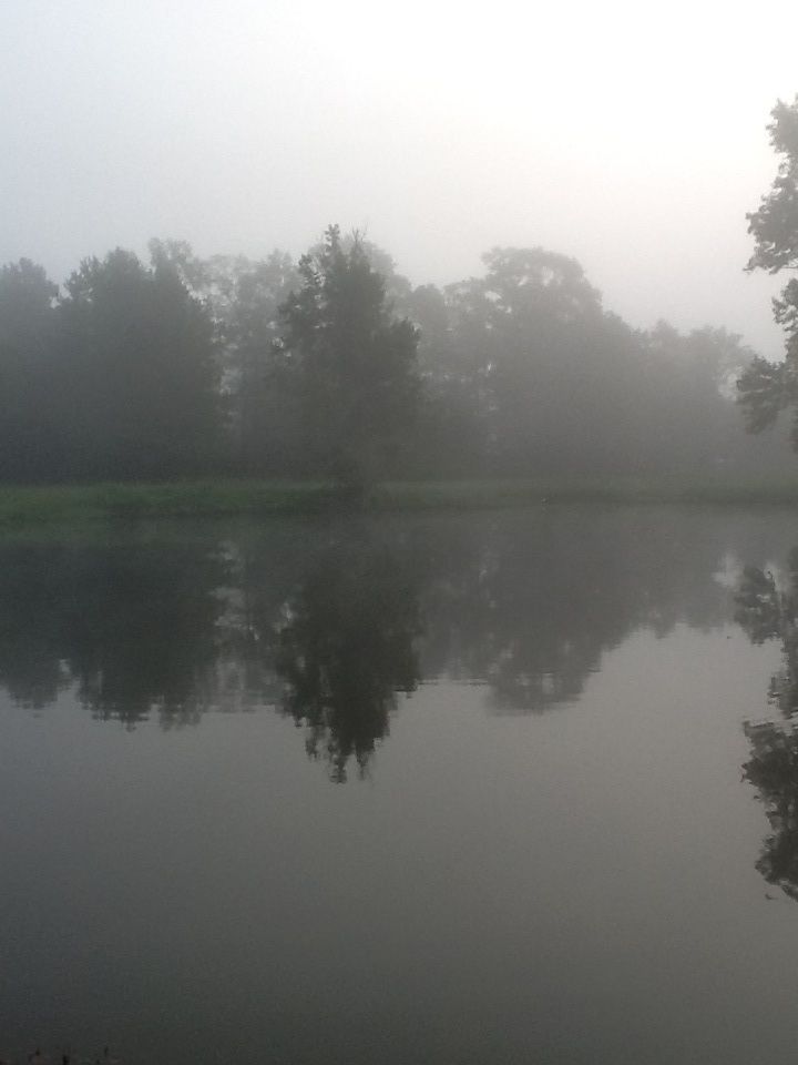 Morning Fog