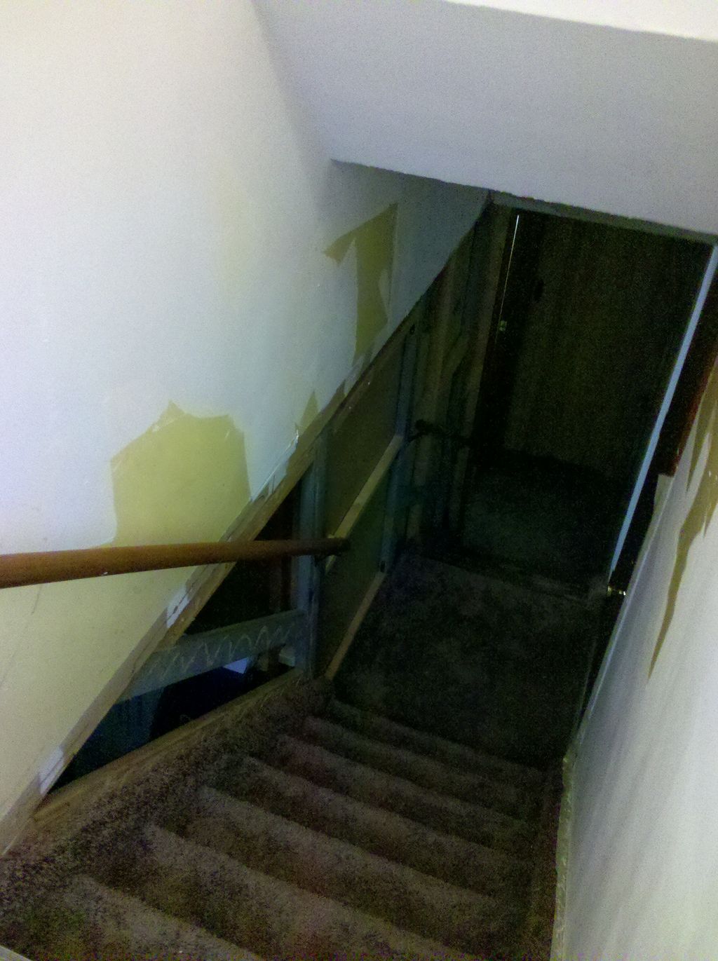 Stairwell to basment had wood panal and concrete.