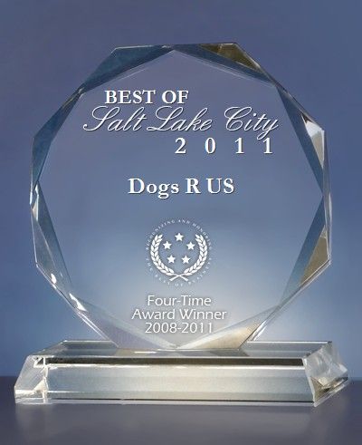 Best of Salt Lake Dogs Trainer of the year 2008 th