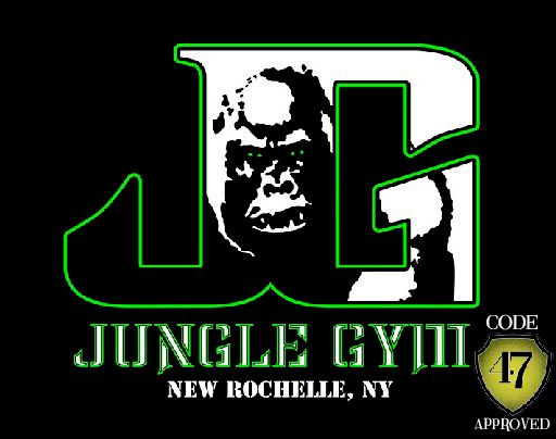 Jungle Gym Martial Arts New Rochelle
