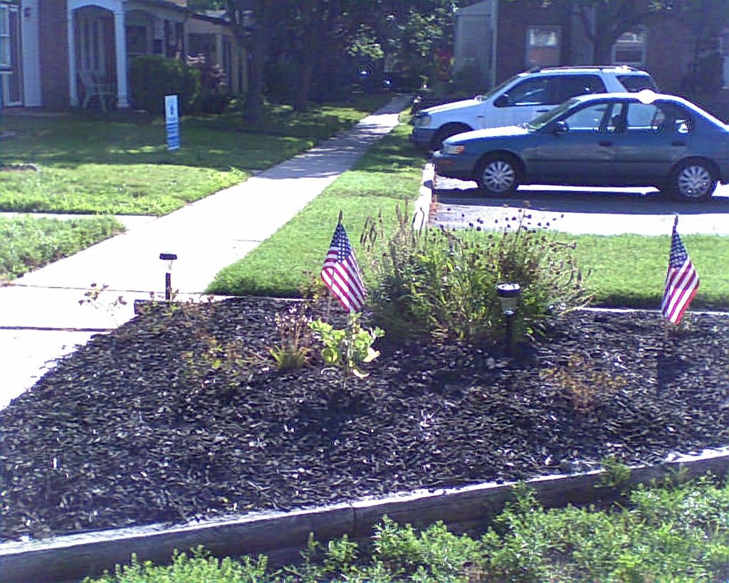 This curb garden in Willingboro was completely ove