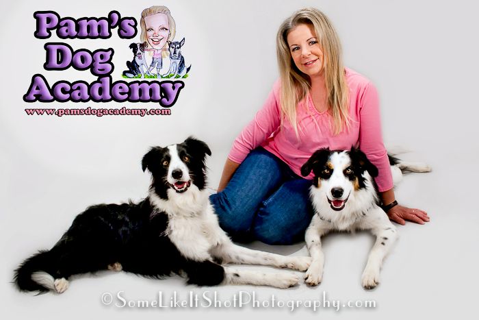 Pam's Dog Academy