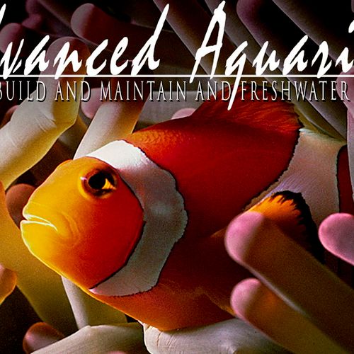 Advanced Aquarium