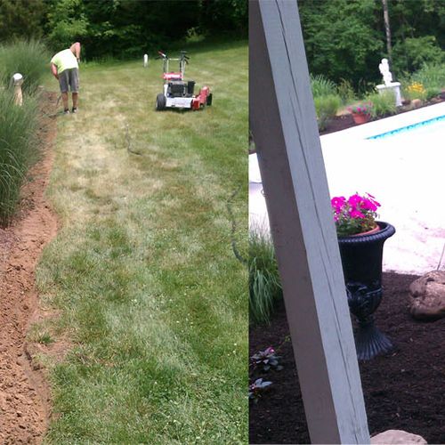 Before and After Mulch