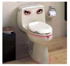 Do you have a cranky commode?  Let us brighten up 
