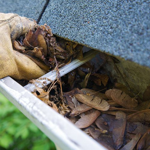 We can clean out your gutters.