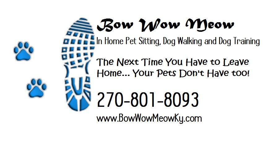 Bow Wow Meow LLC