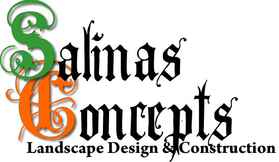 Salinas Concepts
