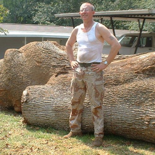 Huge oak removed and hauled off