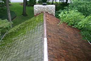 Removing heavy moss from a roof