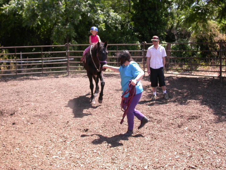 Wildhorse Equestrian Program For Disabled Students