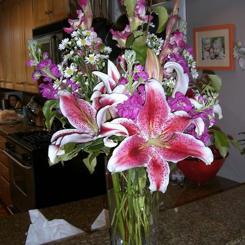 Beautiful stargazer lilies !!!