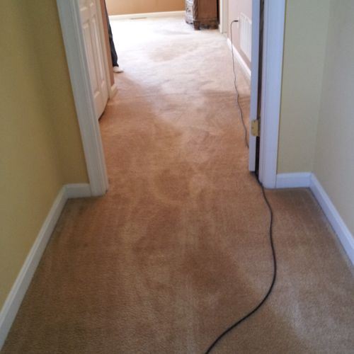 Carpet Stretch After