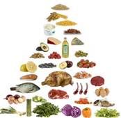 We have a complete nutrition program as well.