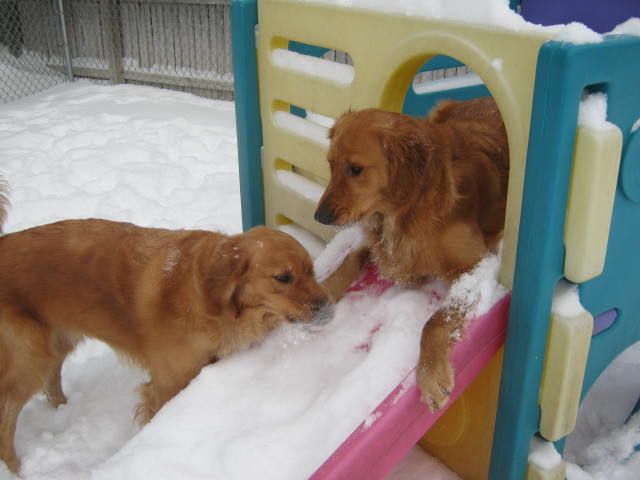 Winter fun in the snow
