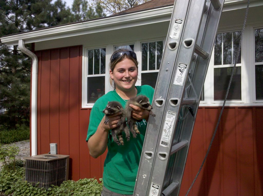Hand removing from a tree