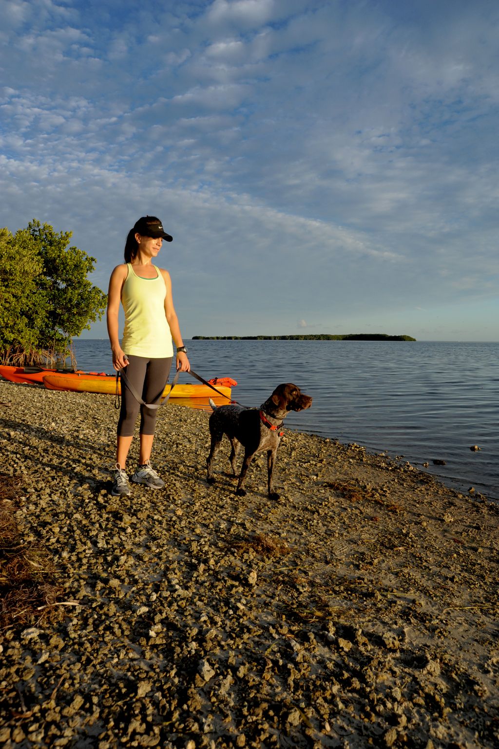 Flavia and Jazz, a German Shorthaired Pointer. His