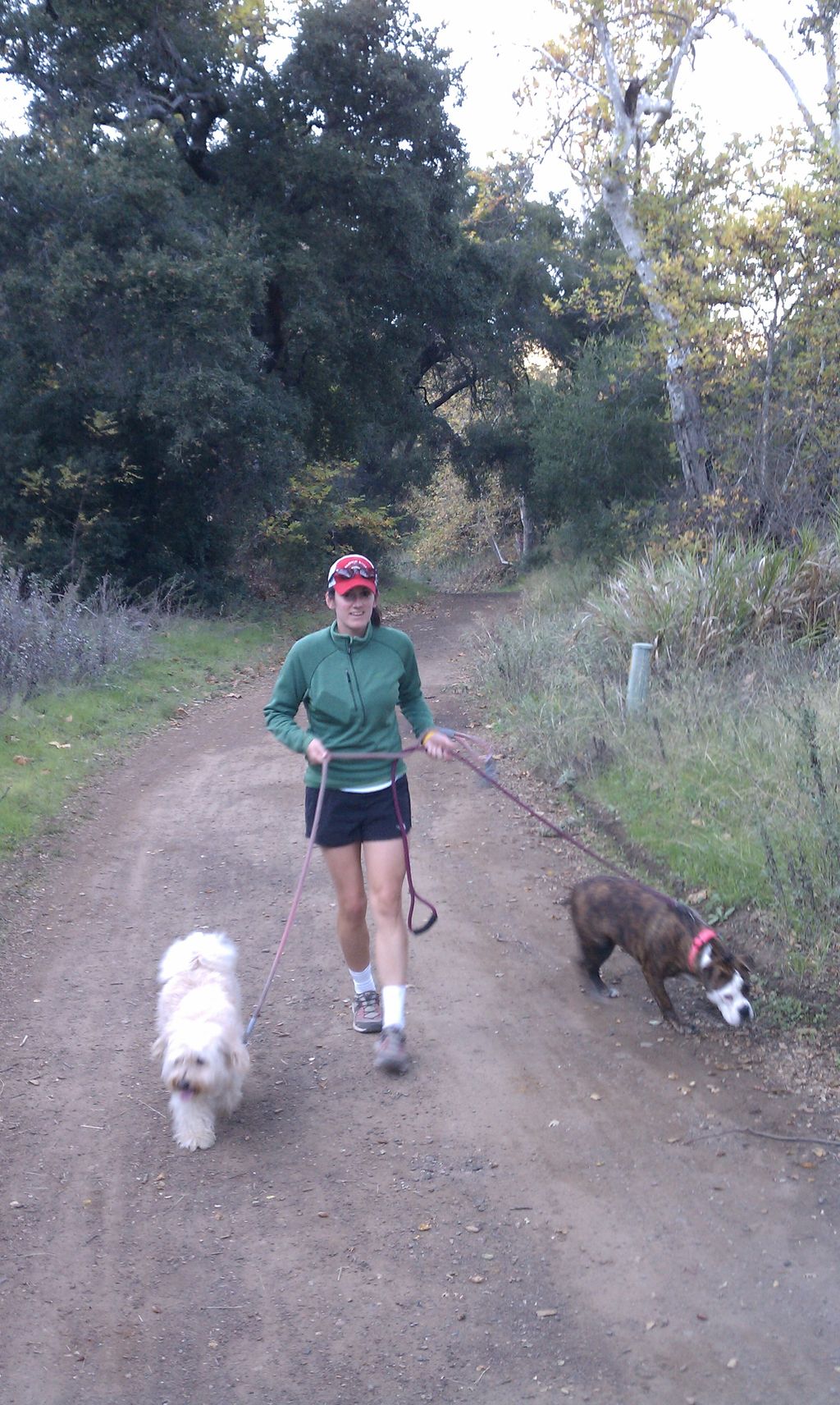 Hiking in Sycamore Canyon.
