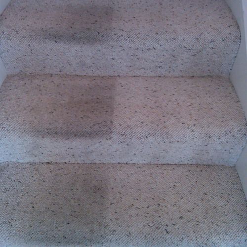 Carpet Cleaning
Before and After
