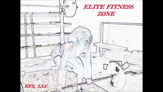 Elite Fitness Zone, LLC