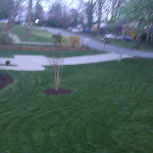 This lawn was done 3/16/12