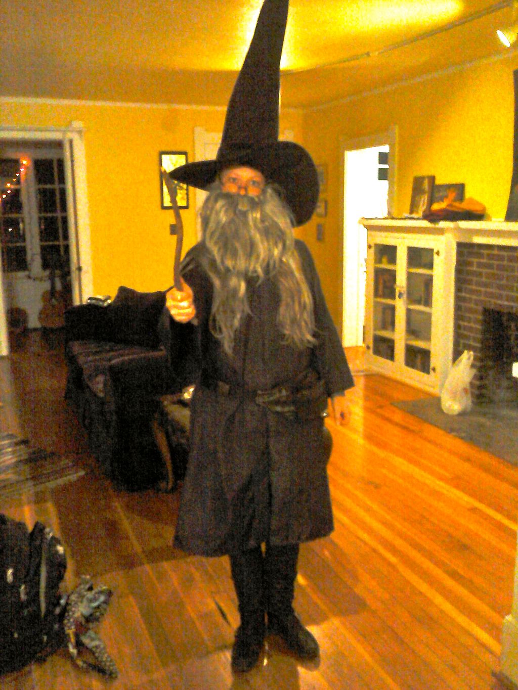Dumbledore halloween costume 2012
