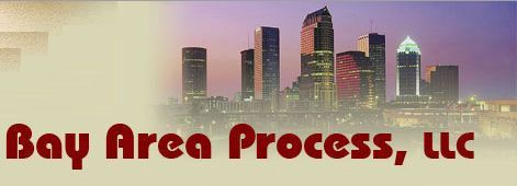Bay Area Process is dedicated to providing our cli