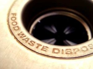 Garbage Disposals for Your East Valley Home