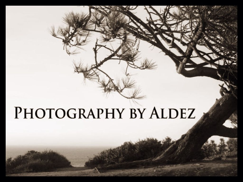 Photography by Aldez