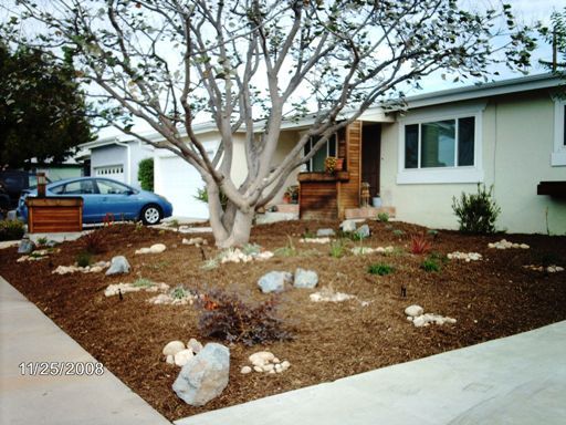 This used to be an old ragged lawn.
