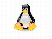 Linux? Yeah, we can fix that too.