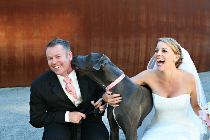 Wedding Photographer Seattle