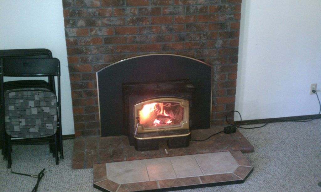 Wood burning inserts