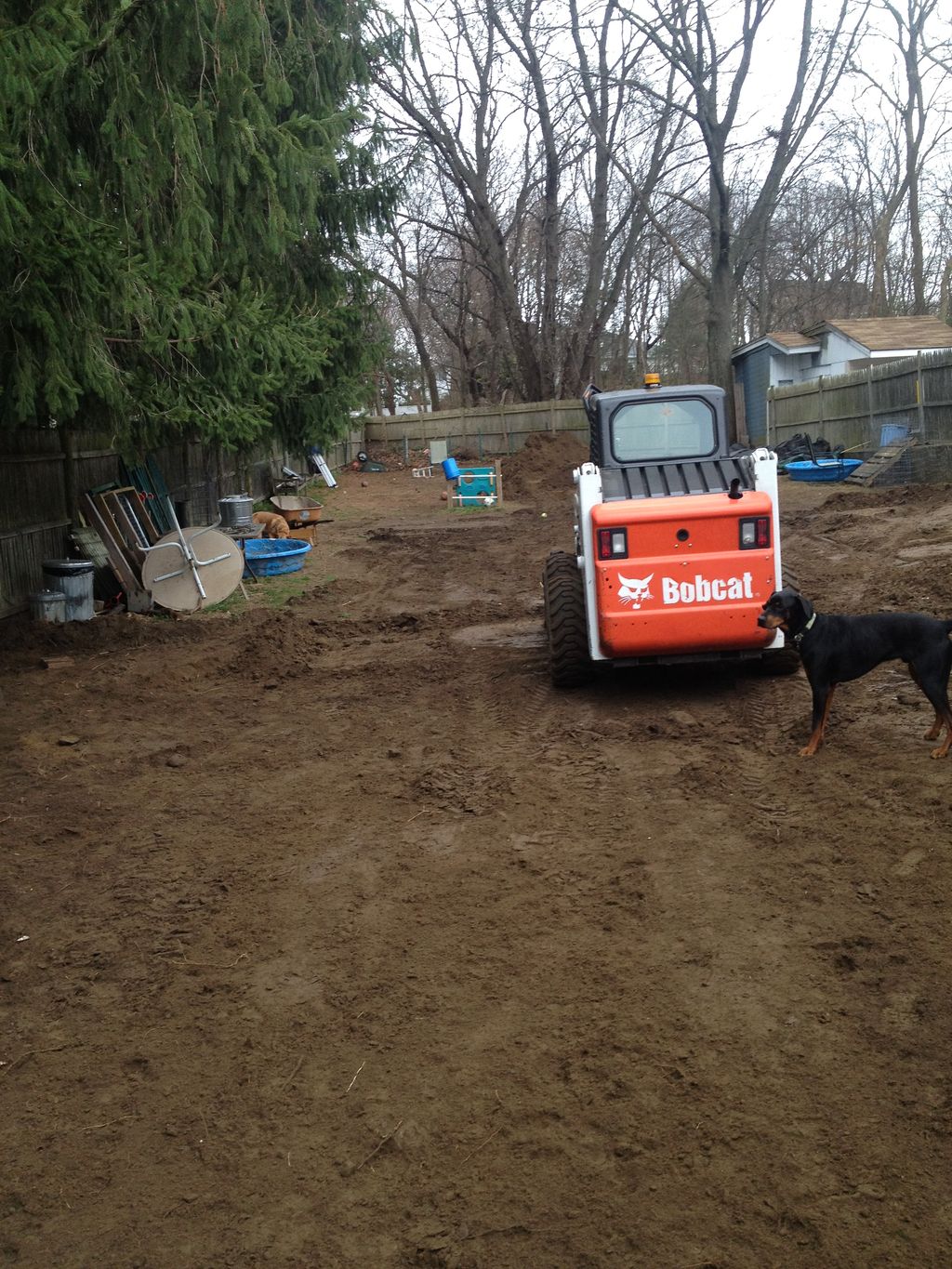 during soil removal and grading of back yard