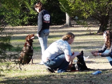 Good sit!  Exercises are taught in realistic setti