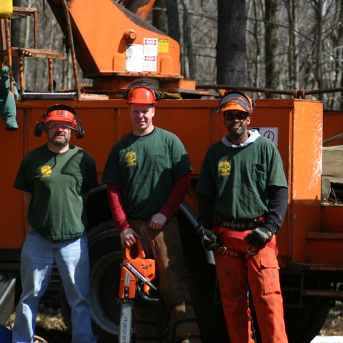 Jungle Jims Provides a 24 hour tree removal servic