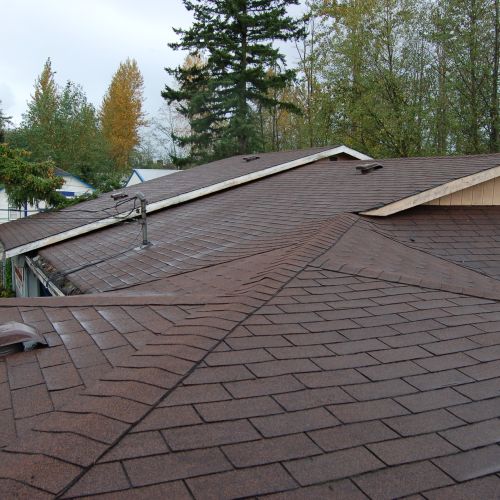 Composition roof after cleaning