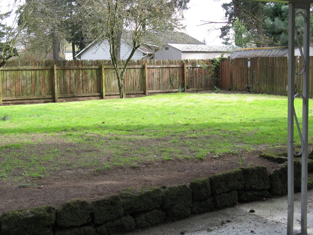 Backyard that hadn't been touched for over two yea